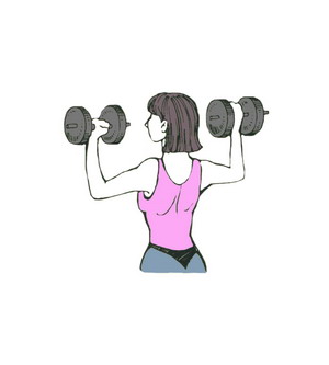 Мышцы спины и плечевого пояса