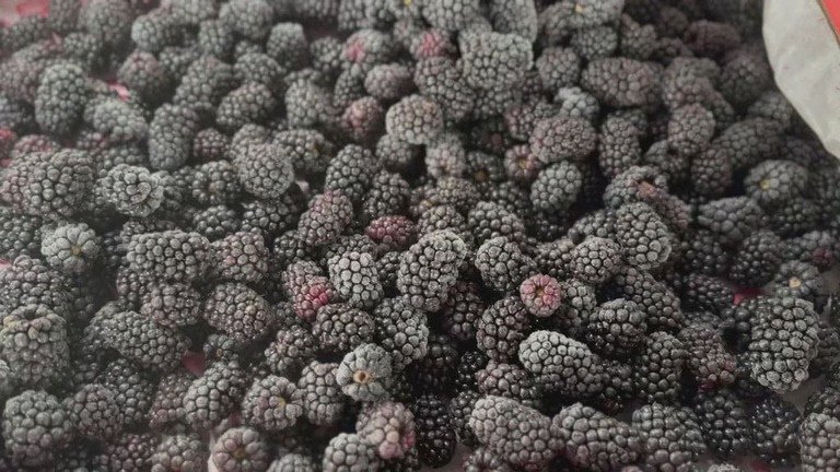 Чи корисна заморожена ожина