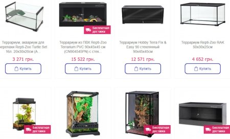 3 совета при выборе террариума